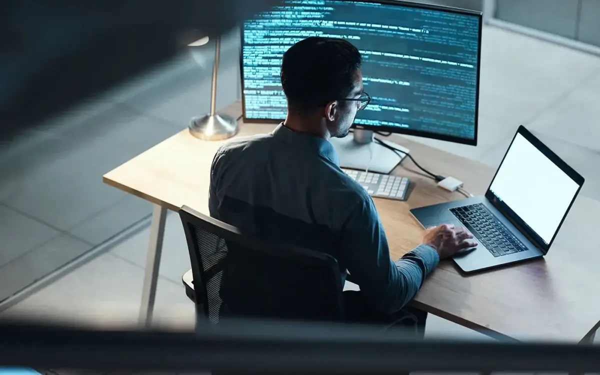 Professional Web Developers