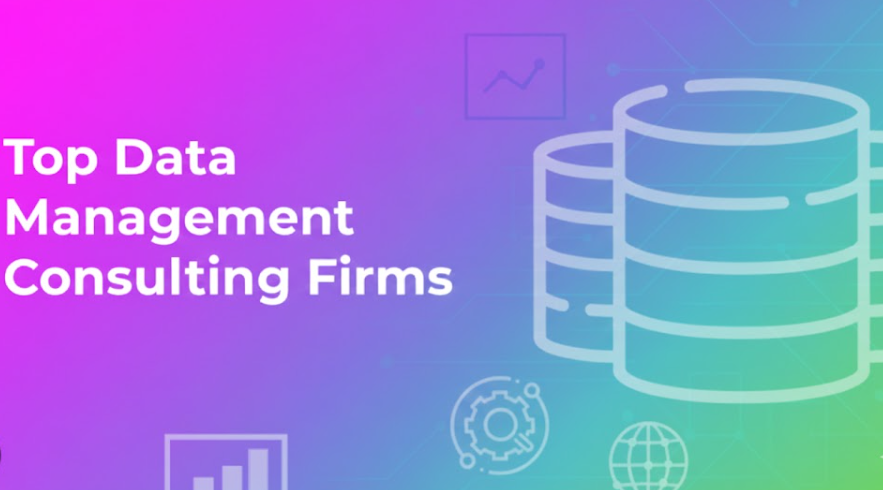 Top IT Consulting Services for Data Management